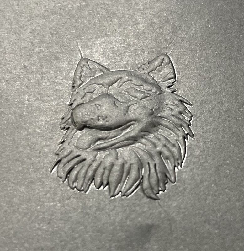 3D Gilding อัตโนมัติ Hot Foli Stamping Machine สําหรับกระดาษบรรจุสินค้าครบวงจร